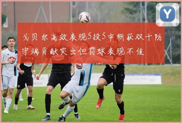 戈贝尔高效表现5投5中斩获双十防守端贡献突出但罚球表现不佳