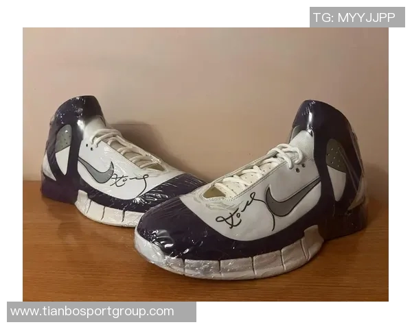 利拉德分享字母哥送的新款签名球鞋展现深厚友谊与团队精神