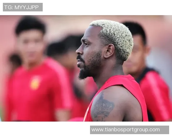 山东蜜獾新赛季注册名单正式公布双主场模式引发期待与关注